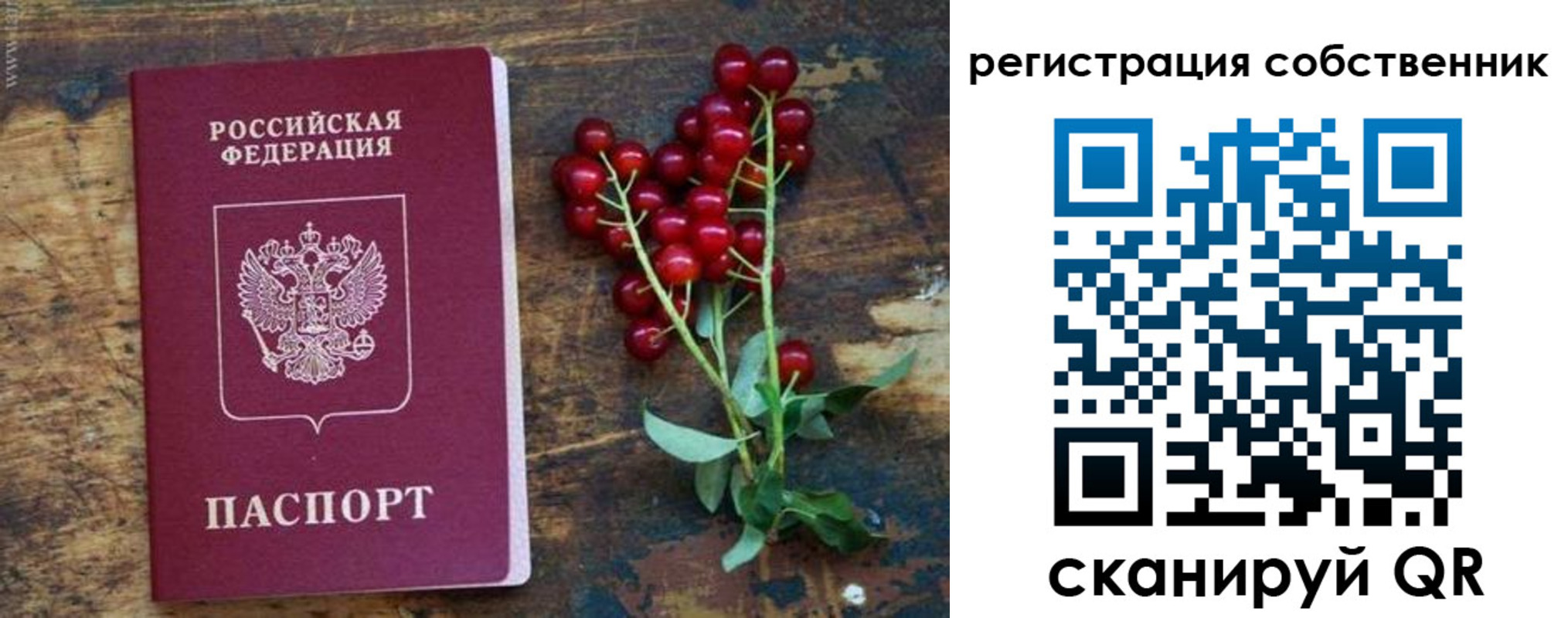 регистрация для дет. сада в Сорочинске